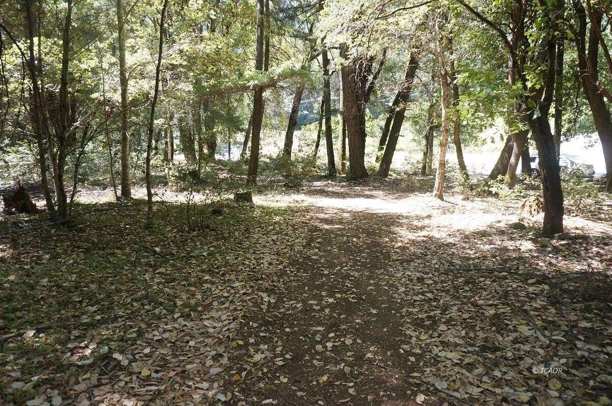 3.8 Acres of Residential Land for Sale in Hawkins Bar, California