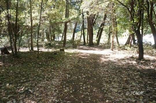 3.8 Acres of Land for Sale in Hawkins Bar, California