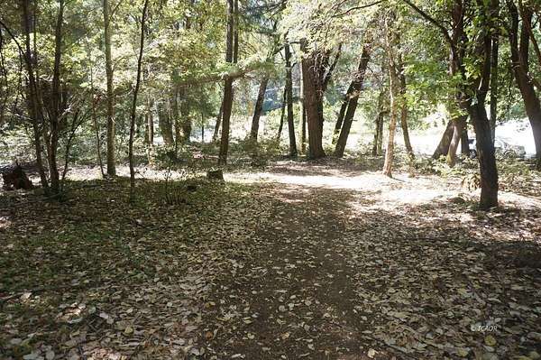 3.8 Acres of Residential Land for Sale in Hawkins Bar, California