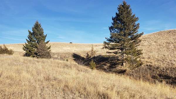 19.9 Acres of Recreational Land for Sale in Garrison, Montana