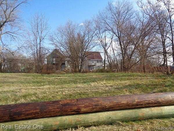 0.07 Acres of Residential Land for Sale in Detroit, Michigan