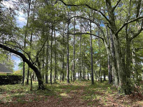 0.35 Acres of Residential Land for Sale in Pawleys Island, South Carolina