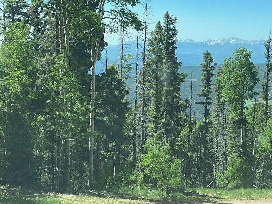 11.2 Acres of Recreational Land for Sale in Angel Fire, New Mexico