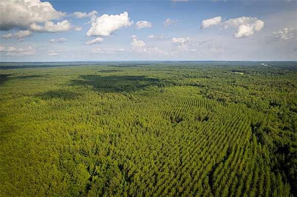 605 Acres of Recreational Land for Sale in Pittsview, Alabama