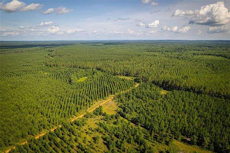 200 Acres of Recreational Land for Sale in Pittsview, Alabama