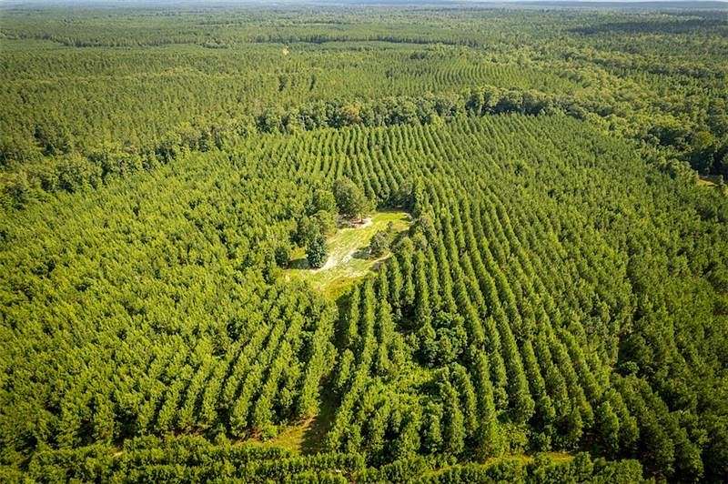 303 Acres of Recreational Land for Sale in Pittsview, Alabama