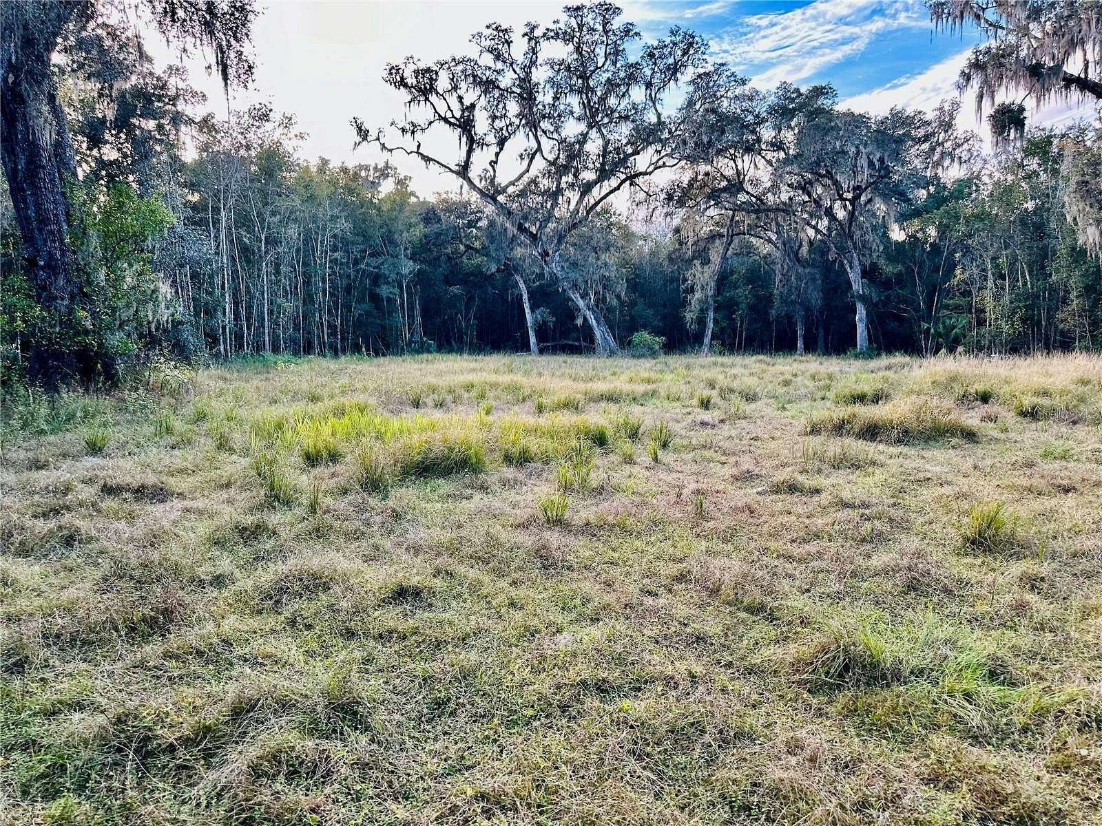 9.6 Acres of Residential Land for Sale in Brooksville, Florida