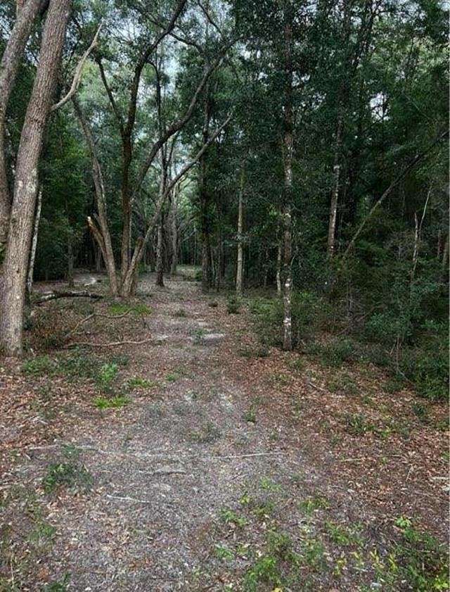 5.4 Acres of Land for Sale in Monticello, Florida
