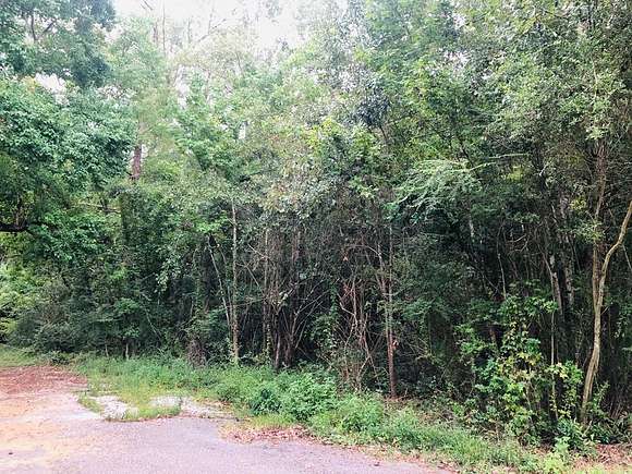0.55 Acres of Residential Land for Sale in Picayune, Mississippi