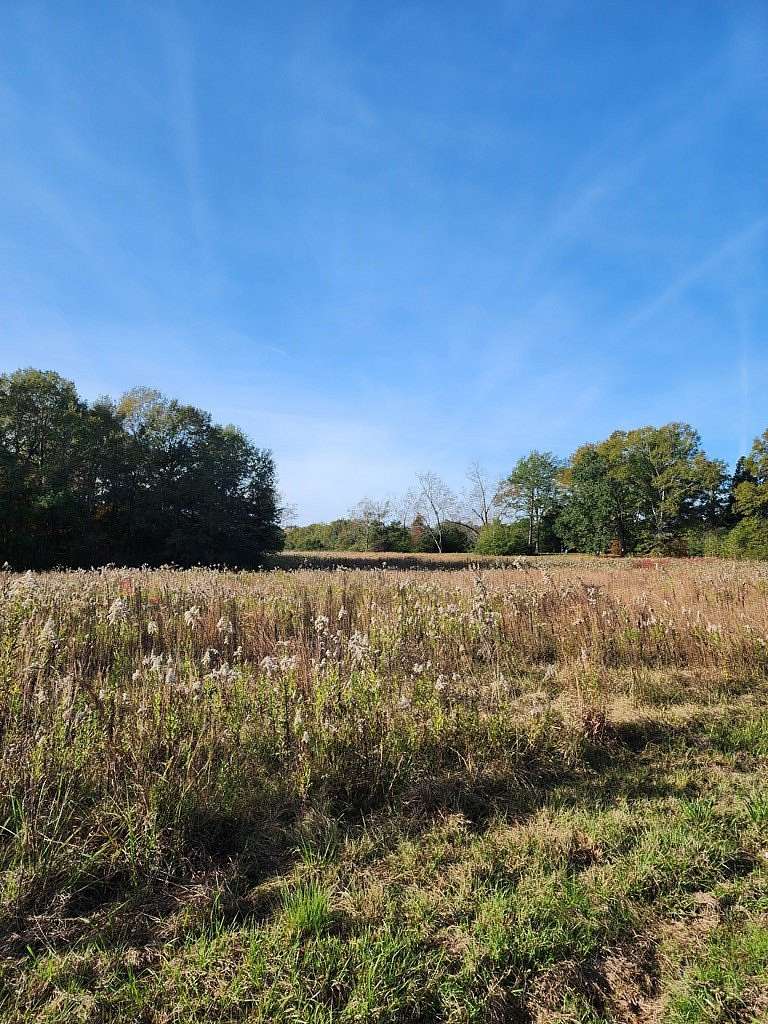 25.5 Acres of Mixed-Use Land for Sale in Poplarville, Mississippi