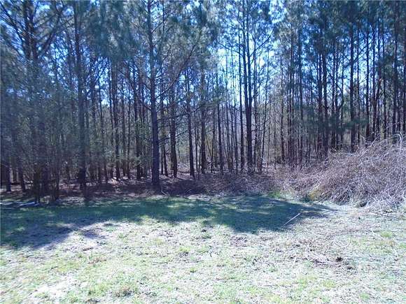 61.9 Acres of Agricultural Land for Sale in Palmetto, Georgia