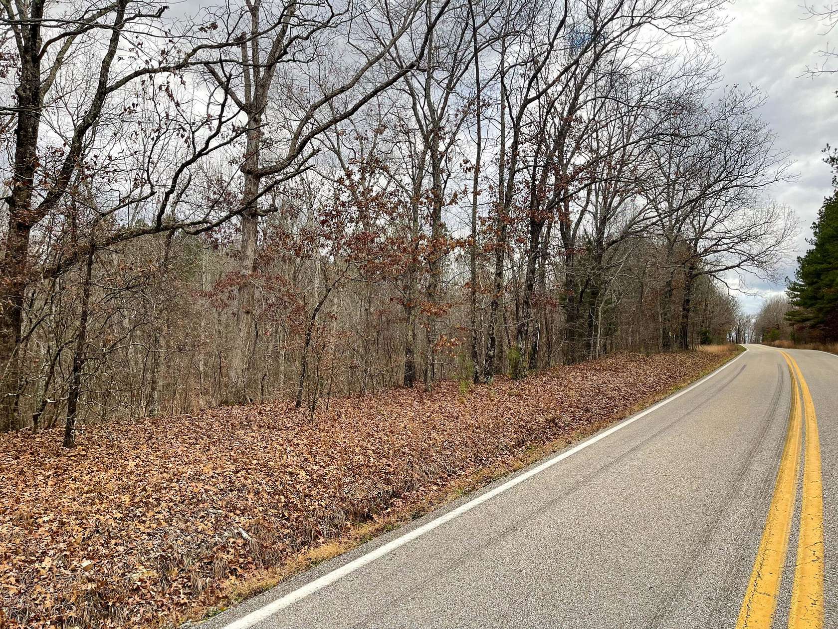 130 Acres of Recreational Land & Farm for Sale in Holladay, Tennessee