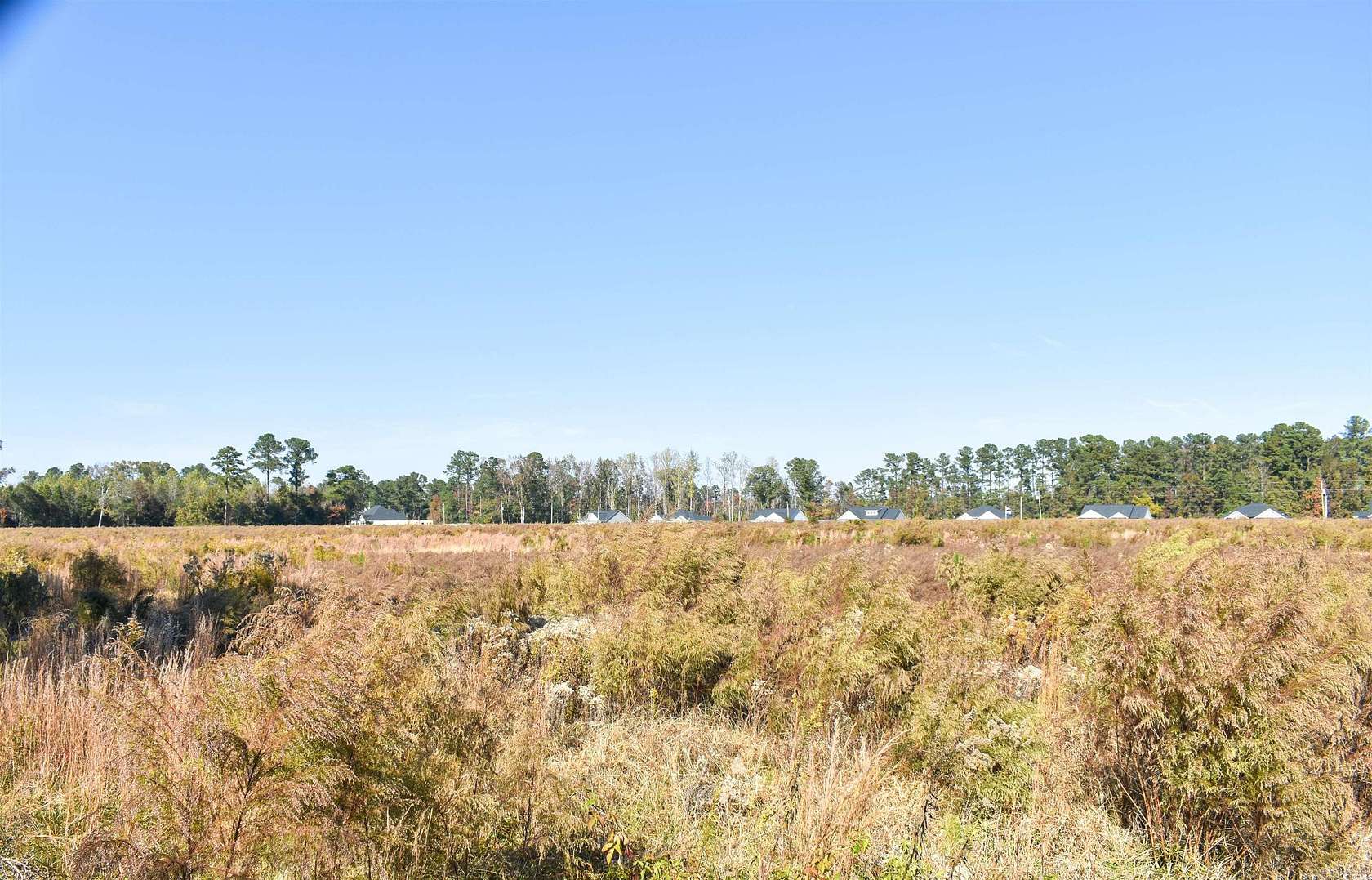 41.1 Acres of Land for Sale in Loris, South Carolina