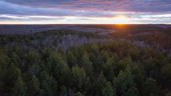 124 Acres of Recreational Land & Farm for Sale in Holladay, Tennessee