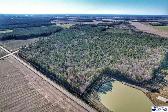 145 Acres of Land for Sale in Dillon, South Carolina