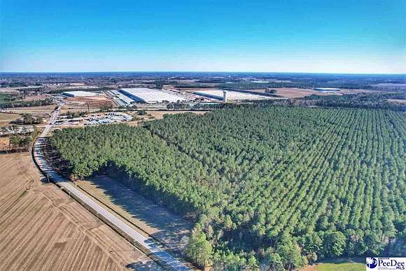 91.7 Acres of Land for Sale in Dillon, South Carolina
