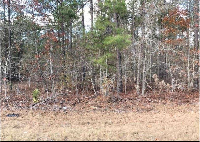 5.9 Acres of Residential Land for Sale in Garfield, Georgia