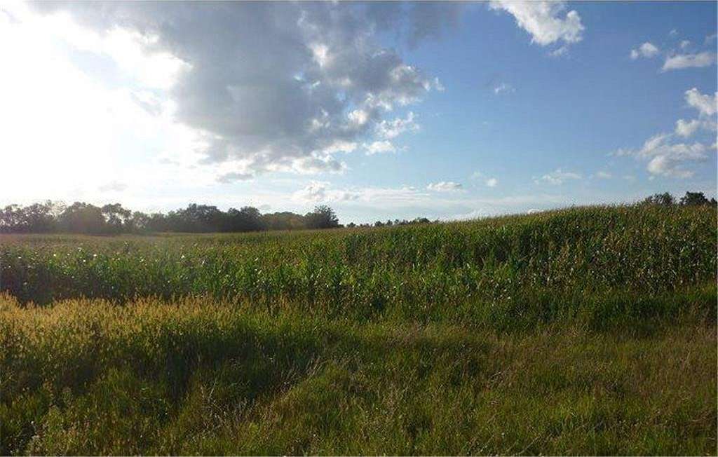 19.4 Acres of Land for Sale in Nowthen, Minnesota