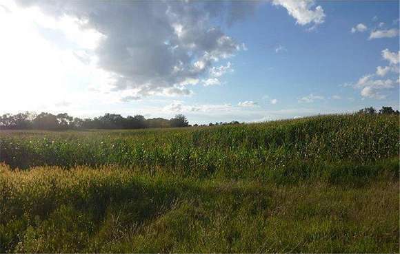 19.4 Acres of Land for Sale in Nowthen, Minnesota