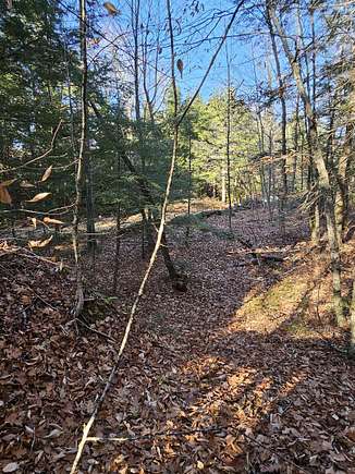 1 Acre of Residential Land for Sale in Bridgewater, New Hampshire