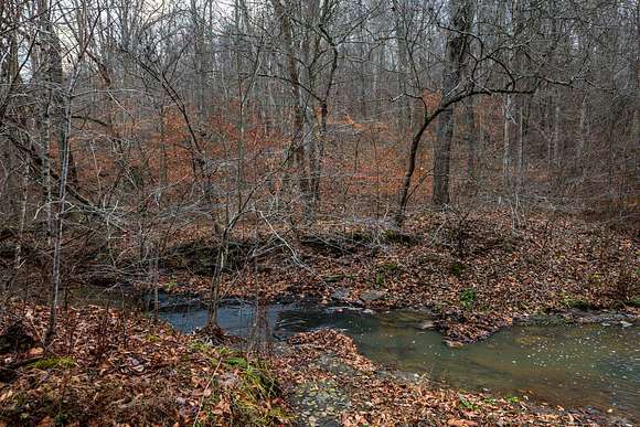 713 Acres of Recreational Land for Sale in Wallingford, Kentucky ...