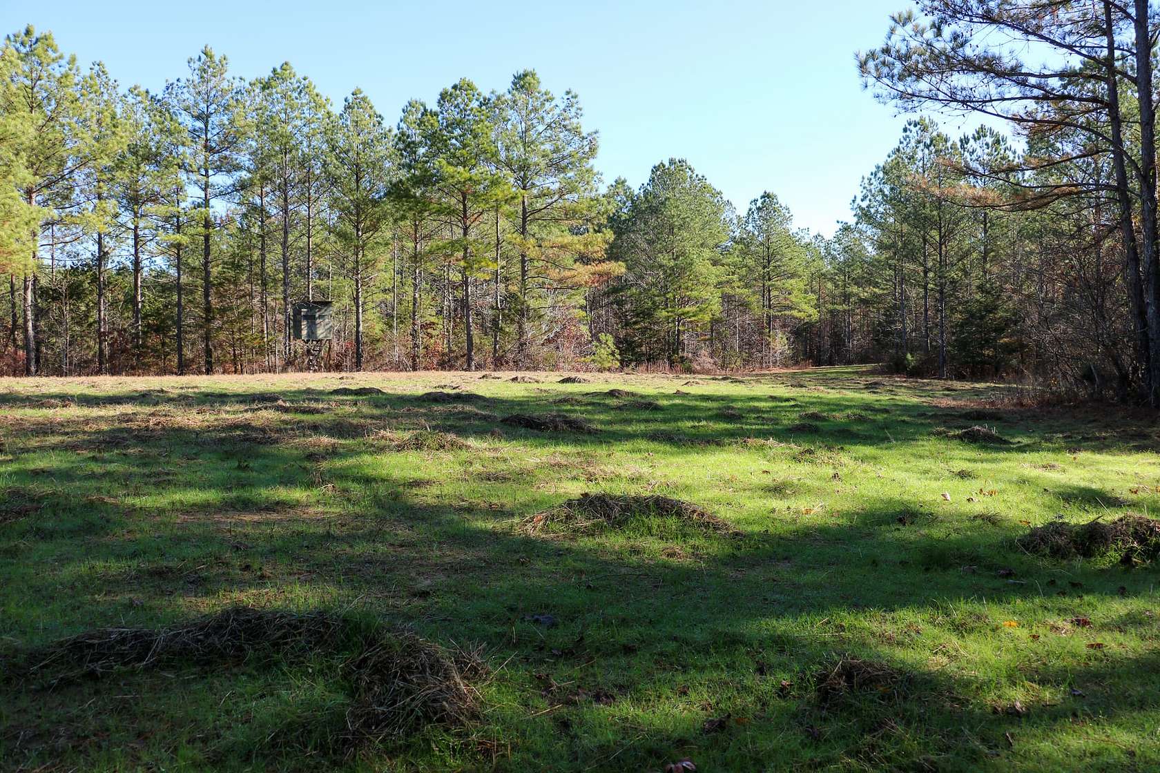 229 Acres of Recreational Land for Sale in Blue Springs, Mississippi