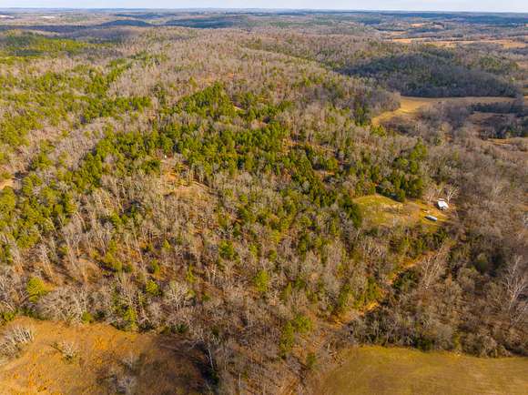 280 Acres of Recreational Land for Sale in Wideman, Arkansas