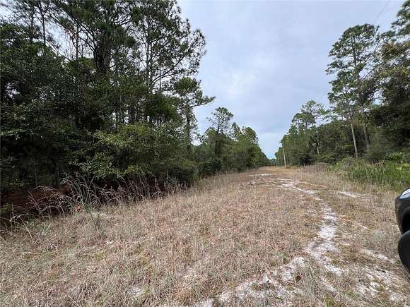 1.3 Acres of Residential Land for Sale in Georgetown, Florida