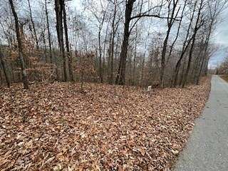 0.25 Acres of Residential Land for Sale in Bumpus Mills, Tennessee