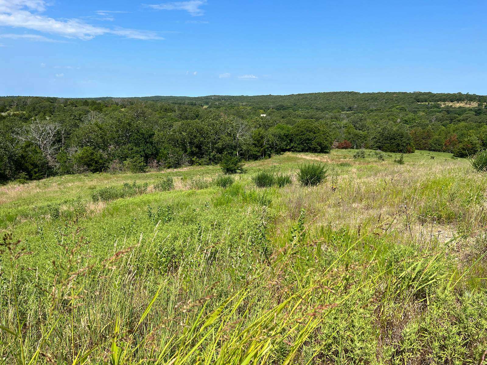 290 Acres of Recreational Land for Sale in Coalgate, Oklahoma