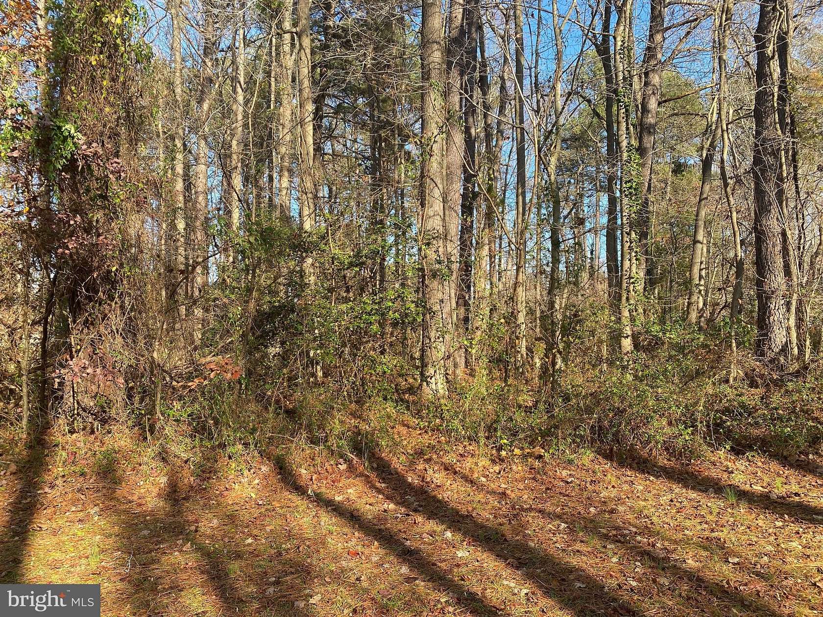 0.64 Acres of Land for Sale in Mechanicsville, Maryland