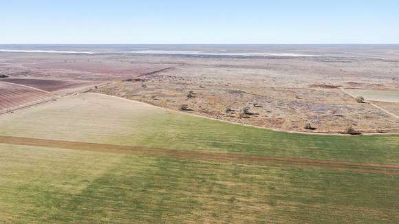 354 Acres of Recreational Land & Farm for Sale in Littlefield, Texas