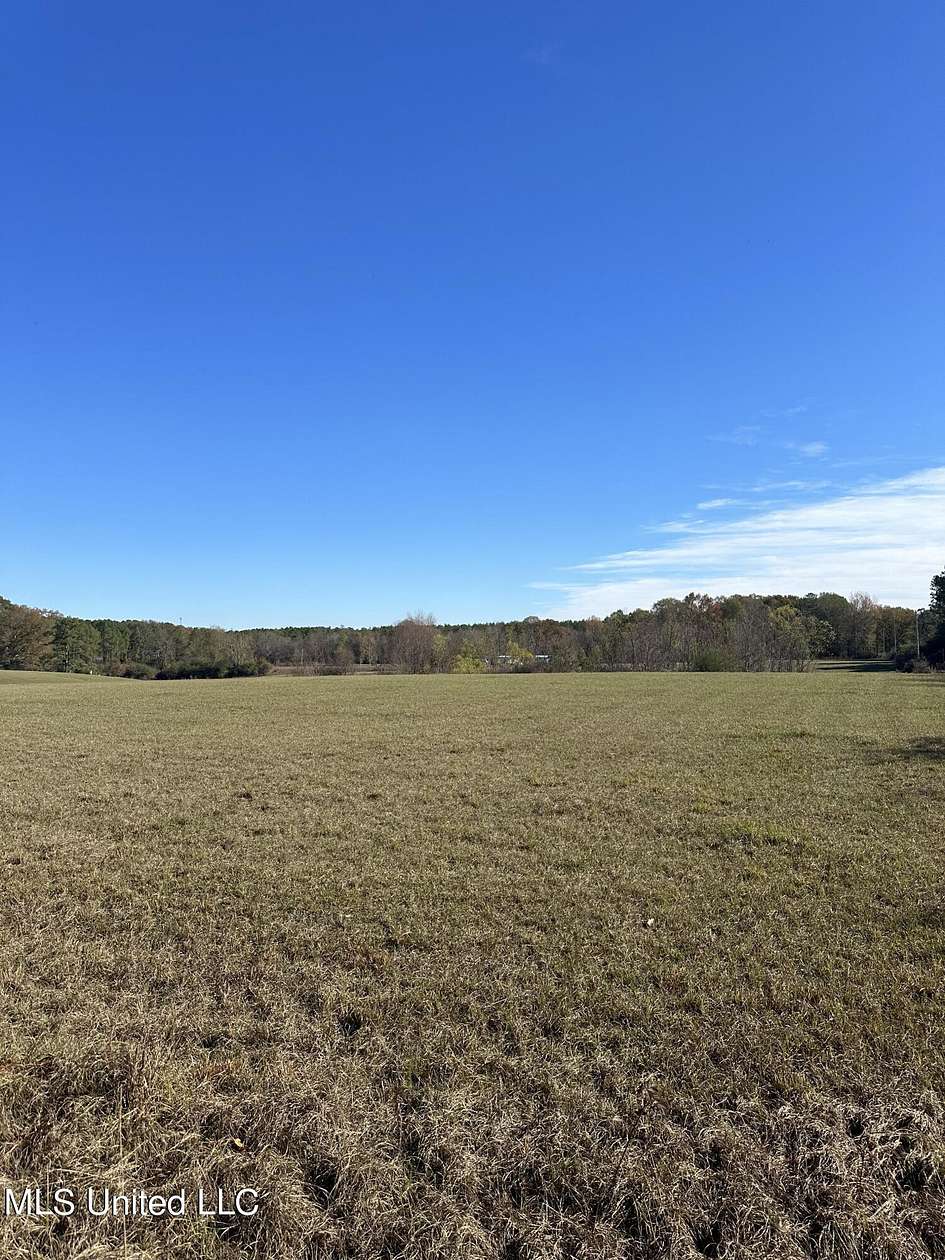 23 Acres of Agricultural Land for Sale in Magee, Mississippi