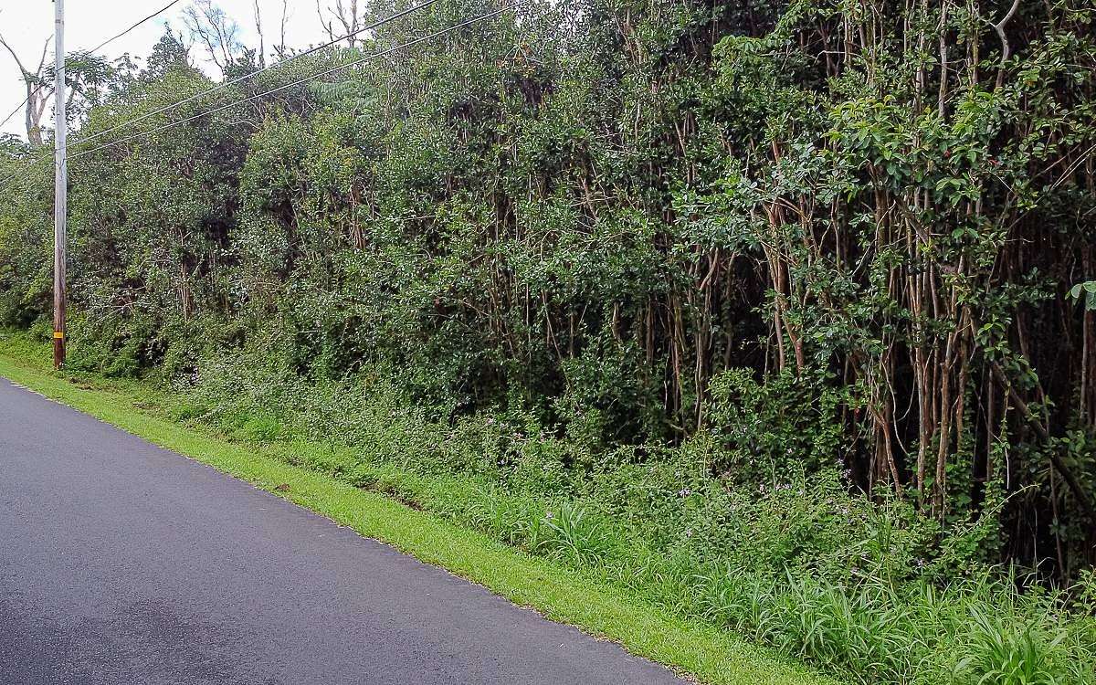 1 Acres of Land for Sale in Pahoa, Hawaii