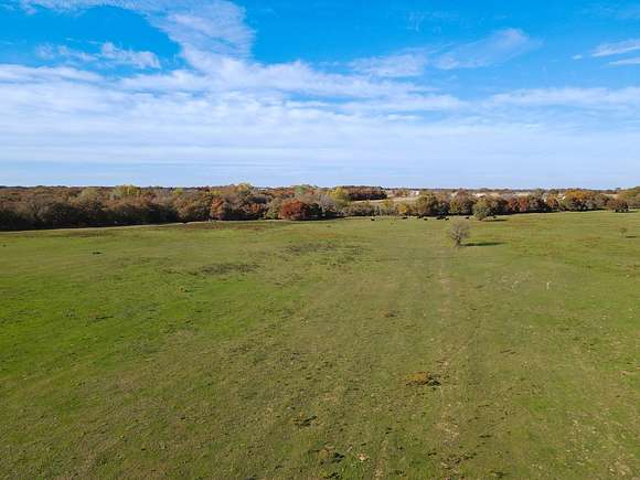 36.1 Acres of Land for Sale in Alvord, Texas