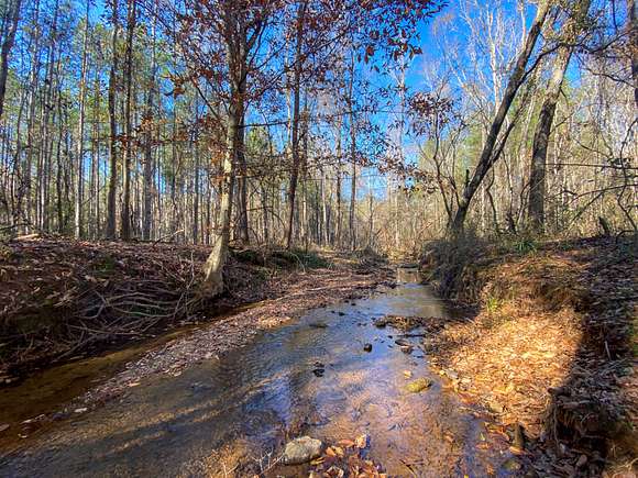 68 Acres of Recreational Land for Sale in Cusseta, Alabama