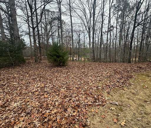 0.5 Acres of Residential Land for Sale in Counce, Tennessee