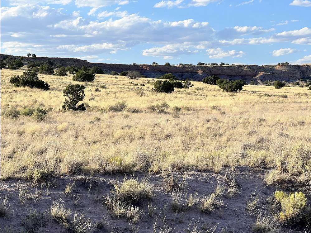 4 Acres of Residential Land for Sale in Chambers, Arizona