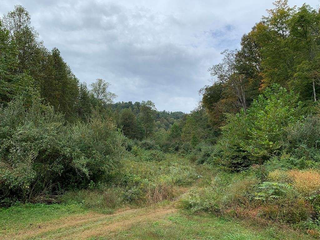 350 Acres of Land for Sale in Blue River, Kentucky