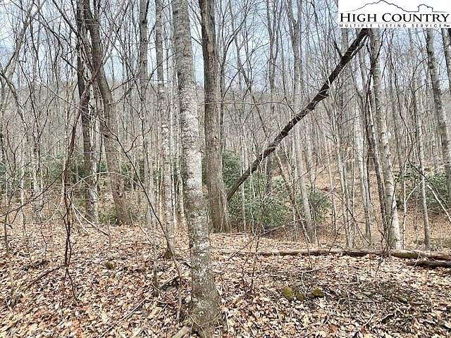 0.5 Acres of Residential Land for Sale in Creston, North Carolina
