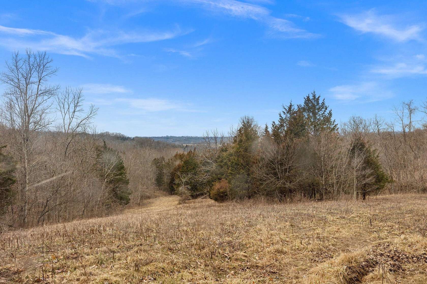 256 Acres of Land for Sale in Ewing, Kentucky