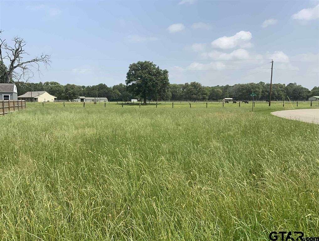 0.24 Acres of Residential Land for Sale in Chandler, Texas