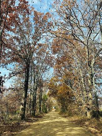 37.5 Acres of Land for Sale in Glen Allen, Missouri