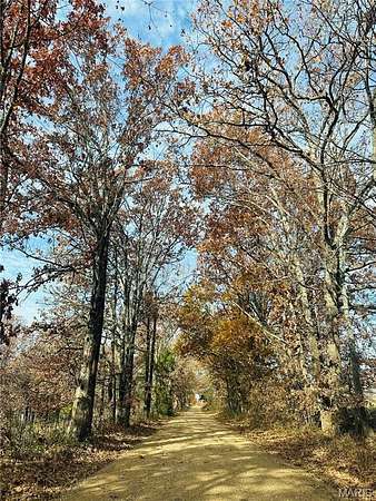 37.5 Acres of Recreational Land & Farm for Sale in Glen Allen, Missouri