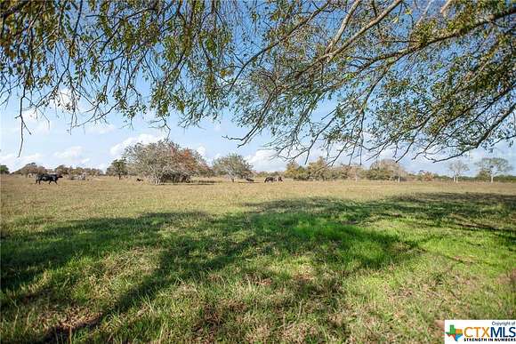 25.54 Acres of Land for Sale in Lolita, Texas