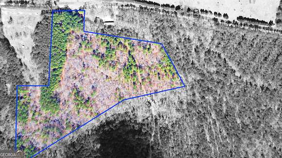 24.4 Acres of Recreational Land for Sale in Rayle, Georgia