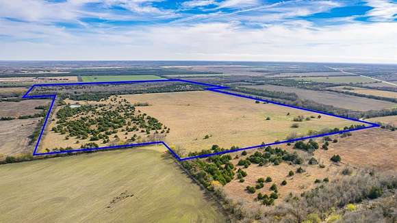 175 Acres of Agricultural Land for Sale in Bailey, Texas