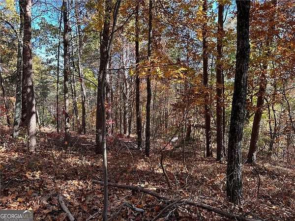 1.16 Acres of Land for Sale in Ranger, Georgia