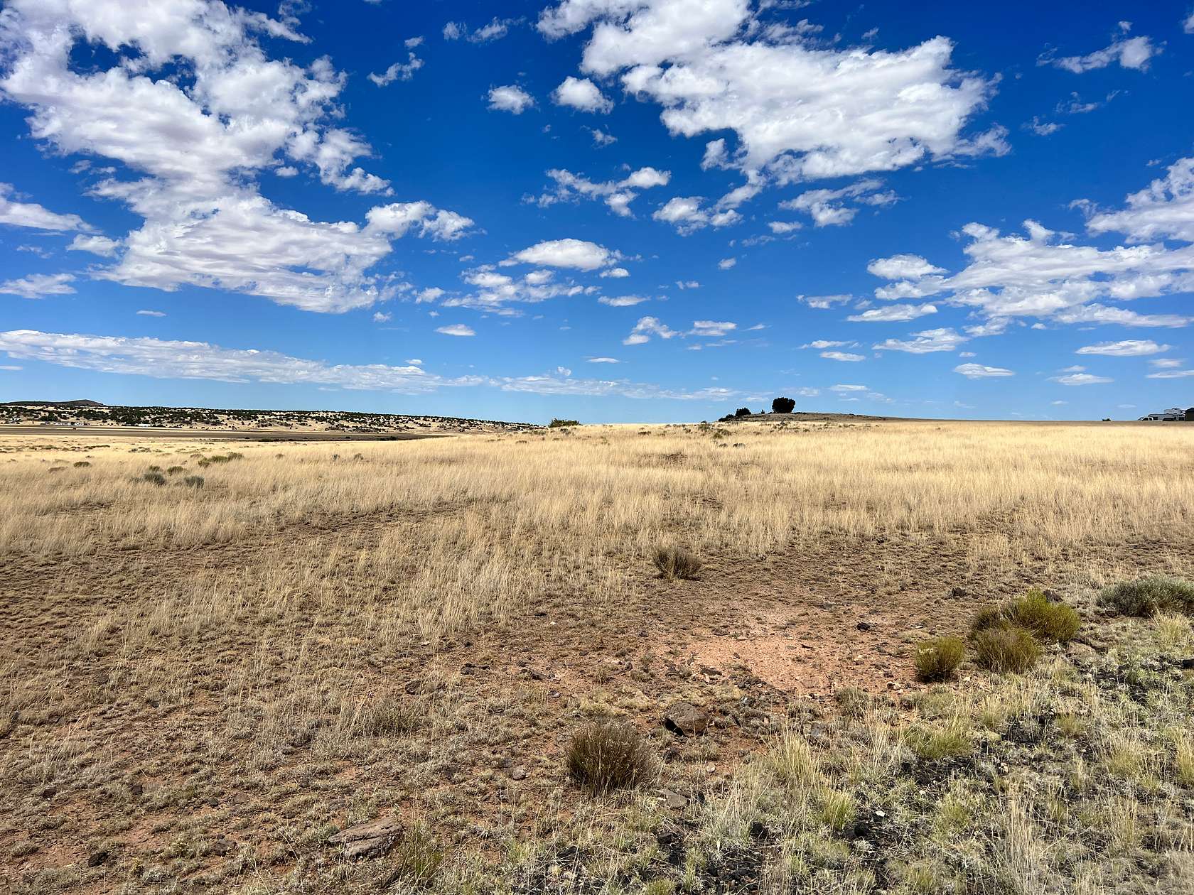 0.46 Acres of Residential Land for Sale in Concho, Arizona