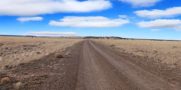 9.9 Acres of Land for Sale in Concho, Arizona